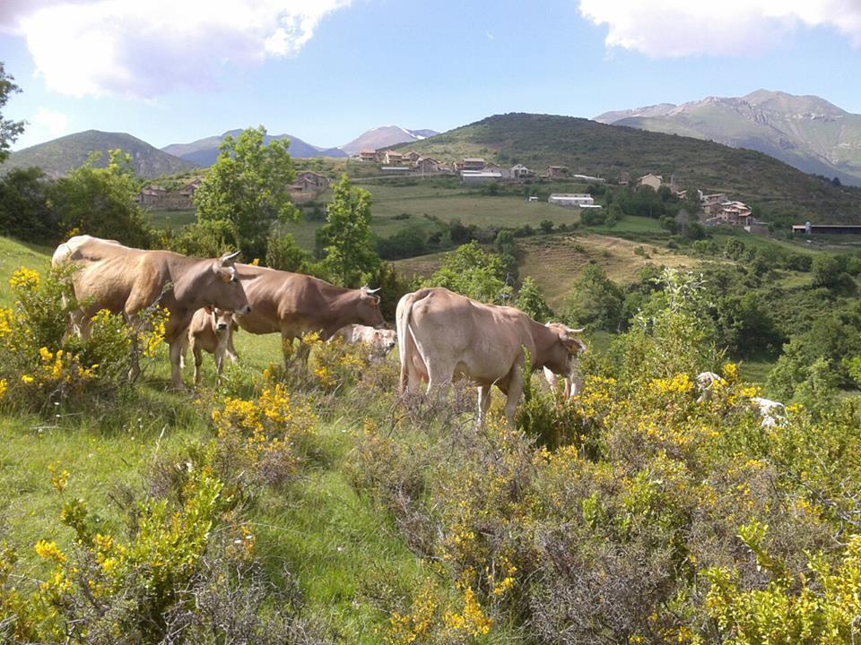 Turismo Rural Castell Neril Ngoại thất bức ảnh